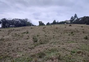 Foto 1 de Fazenda/Sítio à venda, 5m² em , Ituporanga