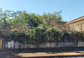 Foto 1 de Lote/Terreno à venda, 300m² em Vila Suconasa, Araraquara