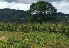 Foto 1 de Lote/Terreno à venda, 28000m² em Bateias, Campo Largo