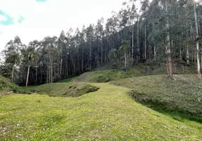 Foto 1 de Fazenda/Sítio com 3 Quartos à venda, 11157m² em Alto Garcia, Angelina