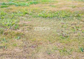 Foto 1 de Lote/Terreno à venda, 333m² em Betel, Paulínia