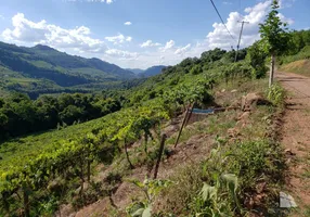 Foto 1 de Fazenda/Sítio com 4 Quartos à venda, 33000m² em Faria Lemos, Bento Gonçalves