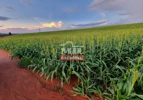 Foto 1 de Fazenda/Sítio à venda, 3000m² em Zona Rural, Chapadão do Céu