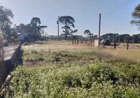 Foto 1 de Lote/Terreno com 1 Quarto à venda, 600m² em Campina do Taquaral, São José dos Pinhais