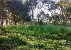 Foto 1 de Lote/Terreno para venda ou aluguel, 20000m² em Capela de São Pedro, Vargem Grande Paulista