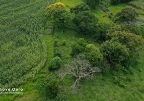 Foto 1 de Fazenda/Sítio com 2 Quartos à venda, 200m² em Zona Rural, Lindoeste