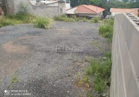 Foto 1 de Lote/Terreno à venda, 346m² em Cambuí, Campinas