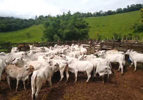 Foto 1 de Fazenda/Sítio à venda em Zona Rural, Cajati