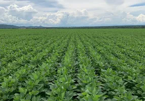 Foto 1 de Fazenda/Sítio à venda em Zona Rural, Paranatinga