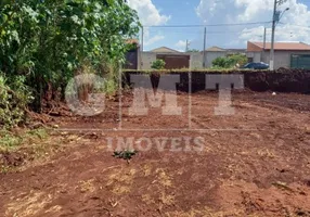 Foto 1 de Lote/Terreno à venda, 175m² em Jardim Cristo Redentor, Ribeirão Preto