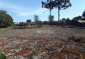 Foto 1 de Lote/Terreno à venda, 2320m² em Periolo, Cascavel