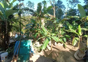Foto 1 de Fazenda/Sítio com 2 Quartos à venda, 500m² em Jardim Coronel, Itanhaém
