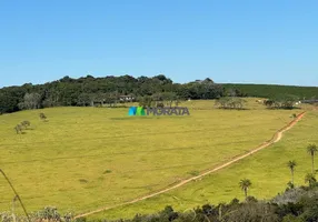 Foto 1 de Fazenda/Sítio com 3 Quartos à venda, 308m² em Zona Rural, Oliveira