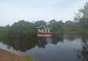 Foto 1 de Fazenda/Sítio com 1 Quarto à venda, 2710m² em Zona Rural, Almas