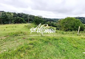 Foto 1 de Fazenda/Sítio à venda, 51500m² em Ferraria, Campo Largo