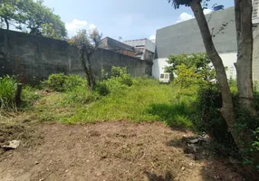 Foto 1 de Lote/Terreno com 1 Quarto para alugar, 310m² em Vila Dirce, Mauá