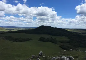 Foto 1 de Fazenda/Sítio com 1 Quarto à venda, 20000m² em Osvaldo Kroeff, Cambará do Sul