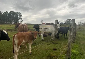 Foto 1 de Fazenda/Sítio com 2 Quartos à venda, 209330m² em Area Rural de Avare, Avaré