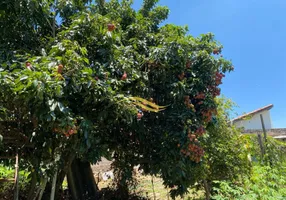 Foto 1 de Fazenda/Sítio com 2 Quartos à venda, 140m² em Area Rural de Artur Nogueira, Artur Nogueira