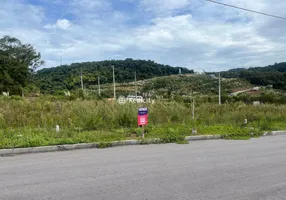 Foto 1 de Lote/Terreno à venda, 243m² em Fatima, Bento Gonçalves