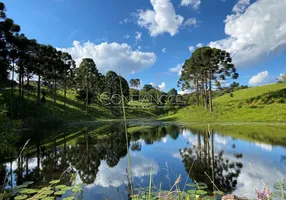 Foto 1 de Fazenda/Sítio com 10 Quartos à venda, 3000m² em Campo Alto, Tijucas do Sul