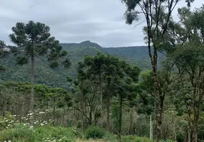 Foto 1 de Lote/Terreno à venda, 20000m² em Centro, Urubici