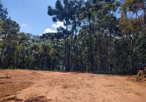 Foto 1 de Lote/Terreno à venda, 21812m² em Campista, Campos do Jordão