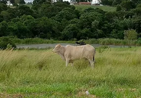 Foto 1 de Lote/Terreno à venda, 1400m² em Centro, Tatuí