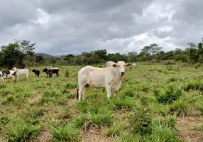 Foto 1 de Fazenda/Sítio com 2 Quartos à venda, 490000m² em Sao Gabriel de Goias, Planaltina