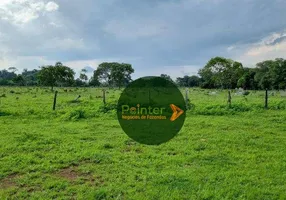 Foto 1 de Fazenda/Sítio com 2 Quartos à venda, 1010000m² em Area Rural de Araguaina, Araguaína