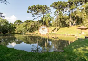Foto 1 de Fazenda/Sítio com 4 Quartos à venda, 45724m² em Campo Largo, Campo Largo