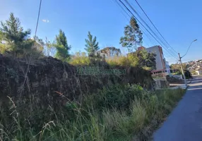 Foto 1 de Lote/Terreno à venda em Sao Caetano, Caxias do Sul