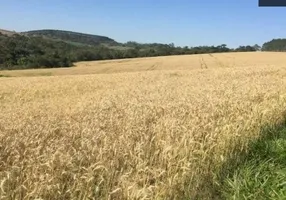 Foto 1 de Fazenda/Sítio com 2 Quartos à venda, 1m² em Zona Rural, São Miguel Arcanjo