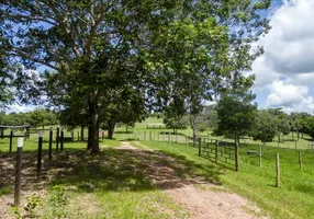 Foto 1 de Fazenda/Sítio com 5 Quartos à venda, 719224m² em , Nova América