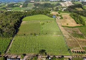 Foto 1 de Fazenda/Sítio à venda, 24000m² em Zona Rural, Monte Belo do Sul