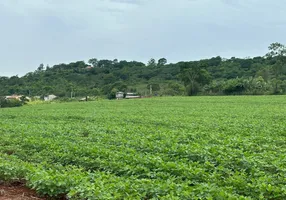 Foto 1 de Lote/Terreno à venda, 10000m² em , Paiçandu