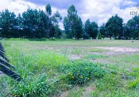 Foto 1 de Lote/Terreno à venda, 3639m² em Campo Largo da Roseira, São José dos Pinhais