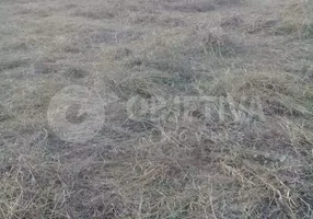 Foto 1 de Fazenda/Sítio à venda, 1000m² em Morada Nova, Uberlândia