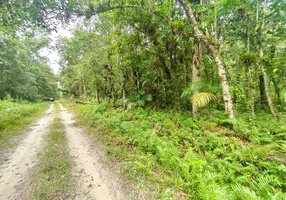 Foto 1 de Lote/Terreno à venda, 5000m² em Jardim Ouro Fino, Paranaguá