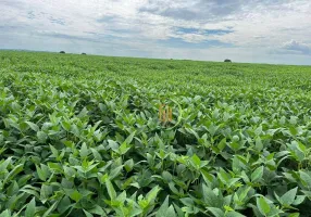 Foto 1 de Fazenda/Sítio à venda, 7201920m² em Zona Rural, Bom Jardim de Goiás