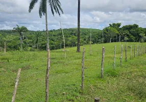 Foto 1 de Fazenda/Sítio à venda, 195000m² em Pirajuia, Jaguaripe
