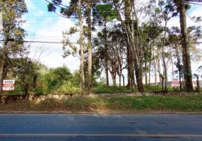 Foto 1 de Lote/Terreno à venda, 4768m² em Vila Santa Terezinha, Campo Largo