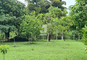 Foto 1 de Fazenda/Sítio com 3 Quartos à venda, 300m² em Avecuia do Alto, Porto Feliz