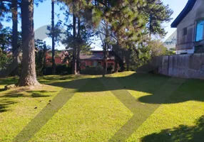 Foto 1 de Lote/Terreno à venda, 600m² em Morada dos Pássaros, Barueri