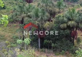 Foto 1 de Fazenda/Sítio com 3 Quartos à venda, 970000m² em Centro, Buritis