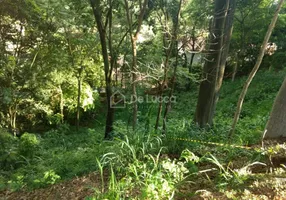 Foto 1 de Lote/Terreno à venda, 651m² em Chácara Flora, Valinhos