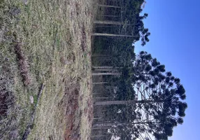 Foto 1 de Lote/Terreno à venda em Vacas Gordas, Urubici