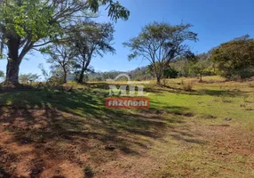 Foto 1 de Fazenda/Sítio à venda em Area Rural de Trindade, Trindade