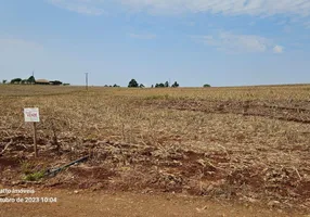 Foto 1 de Fazenda/Sítio à venda, 20000m² em Zona 01, Maringá