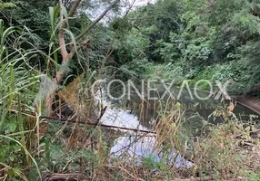 Foto 1 de Fazenda/Sítio com 3 Quartos à venda, 700m² em Cidade Universitária, Campinas